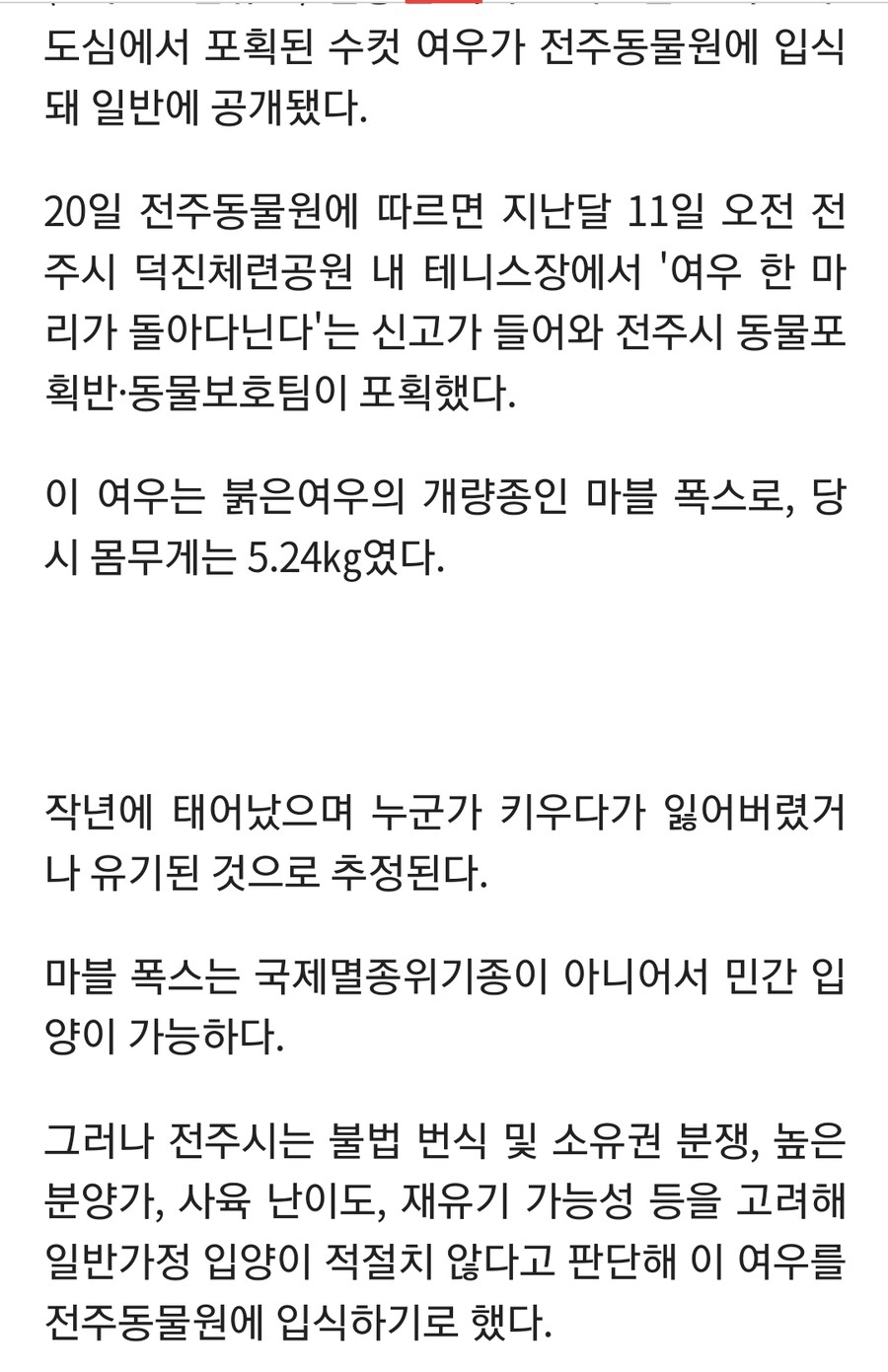 전주에서 포획된 여우 근황_1.png