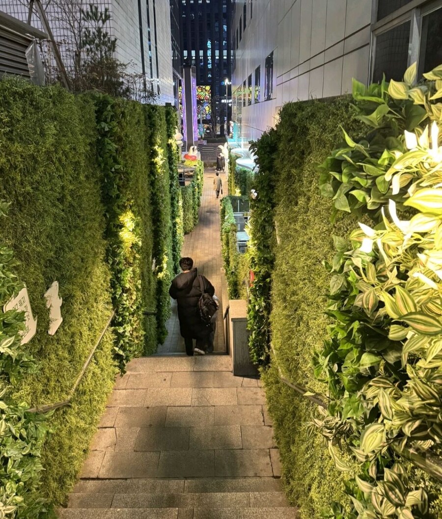 강남역 11번 출구 길목 근황.jpg_1.jpg