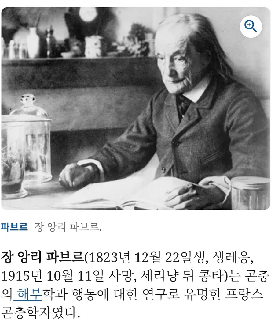 파브르가 한국이랑 일본에서만 유명하다?_1.jpg