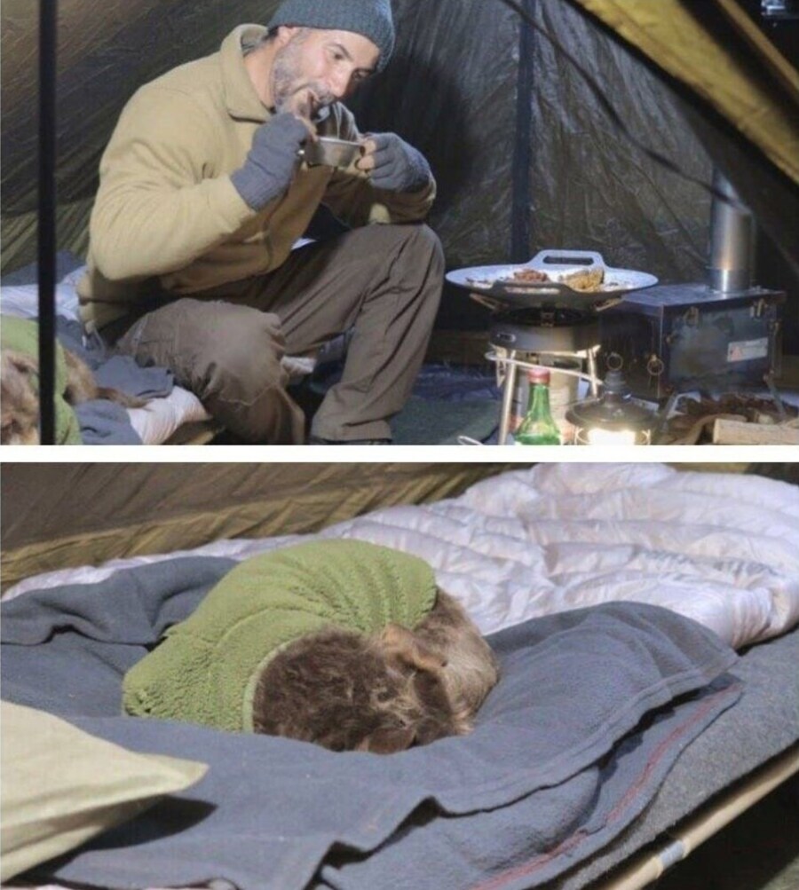 한국 술 퍼먹더니 개가 되어버린 외국인_3.png