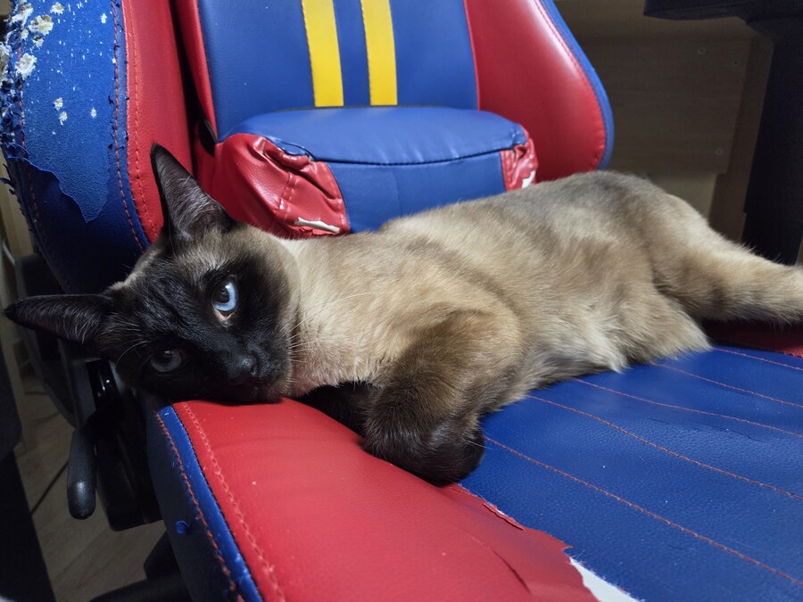 겜할때 앉는 좋은 의자를 사고 싶은데 못 사는 이유 ㅠㅠ_5.jpg