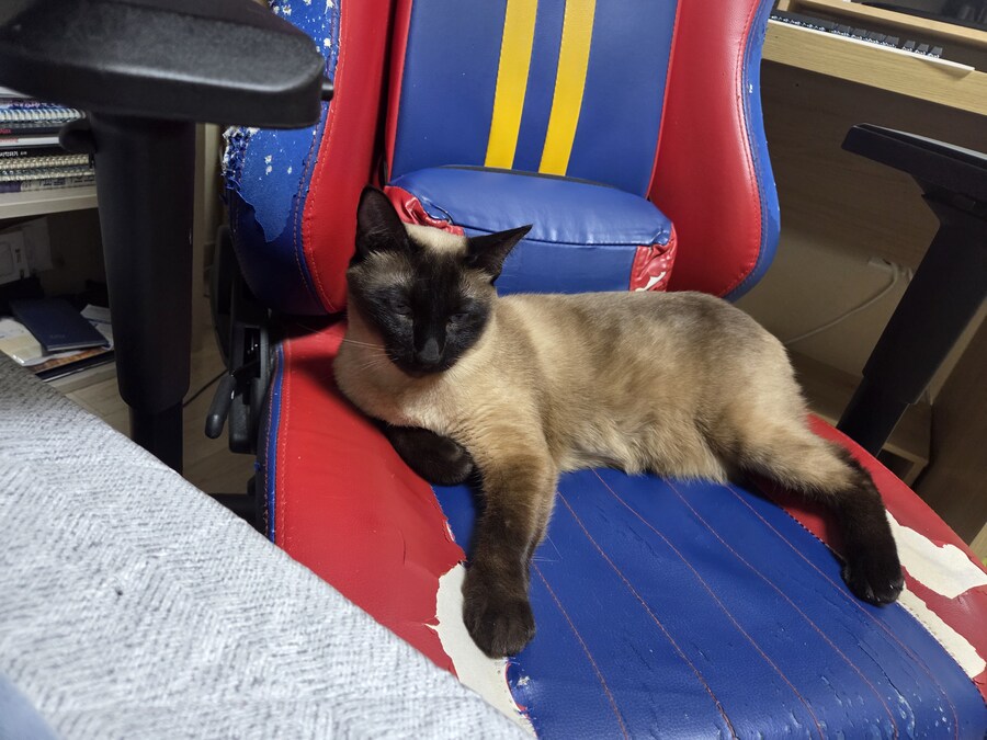 겜할때 앉는 좋은 의자를 사고 싶은데 못 사는 이유 ㅠㅠ_8.jpg