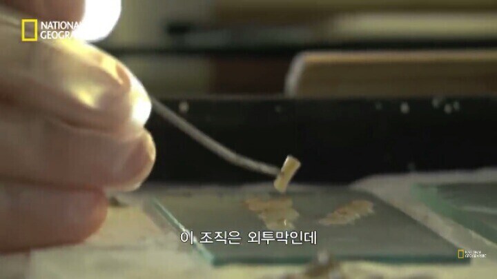 다큐)진주 만드는 방법_5.jpg