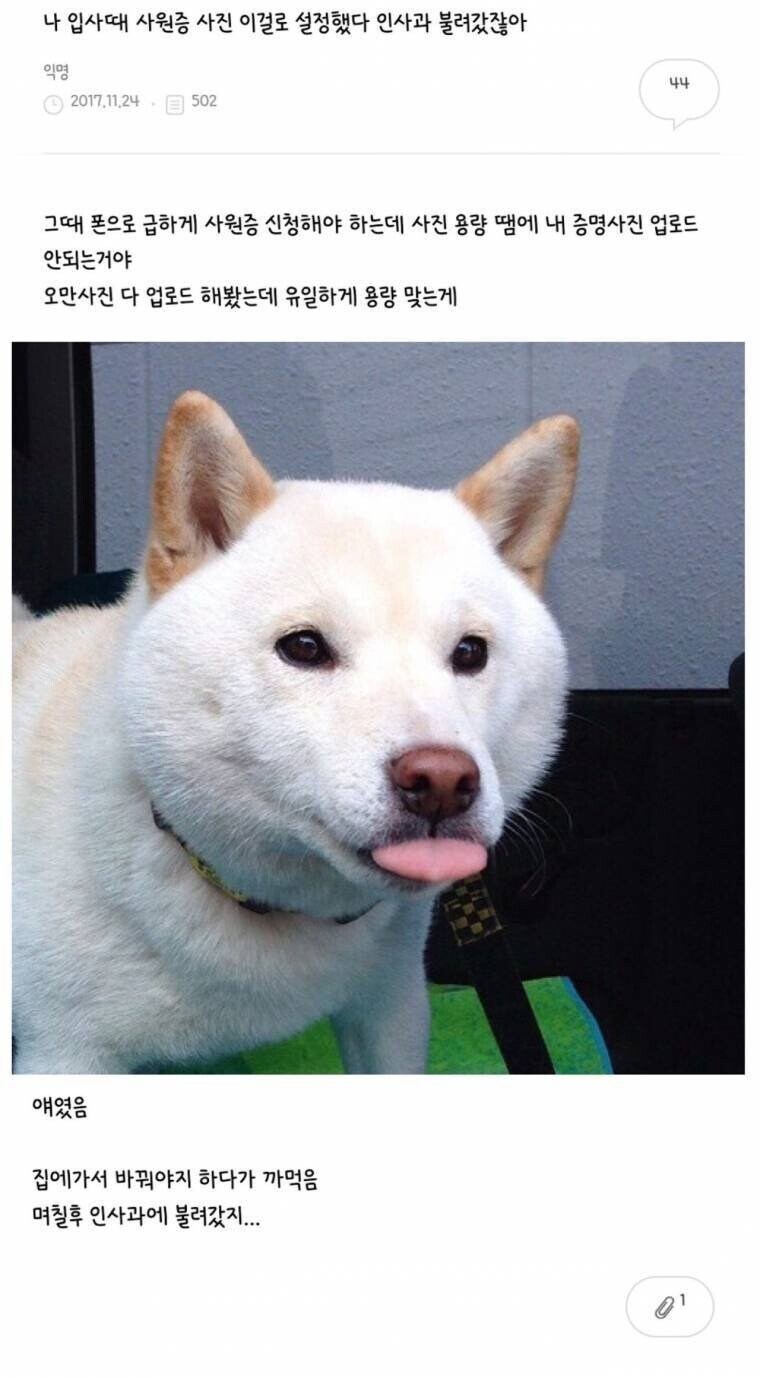 사원증 사진 제출했다가 인사과에 끌려간 사람ㅋㅋㅋㅋㅋ_1.jpg