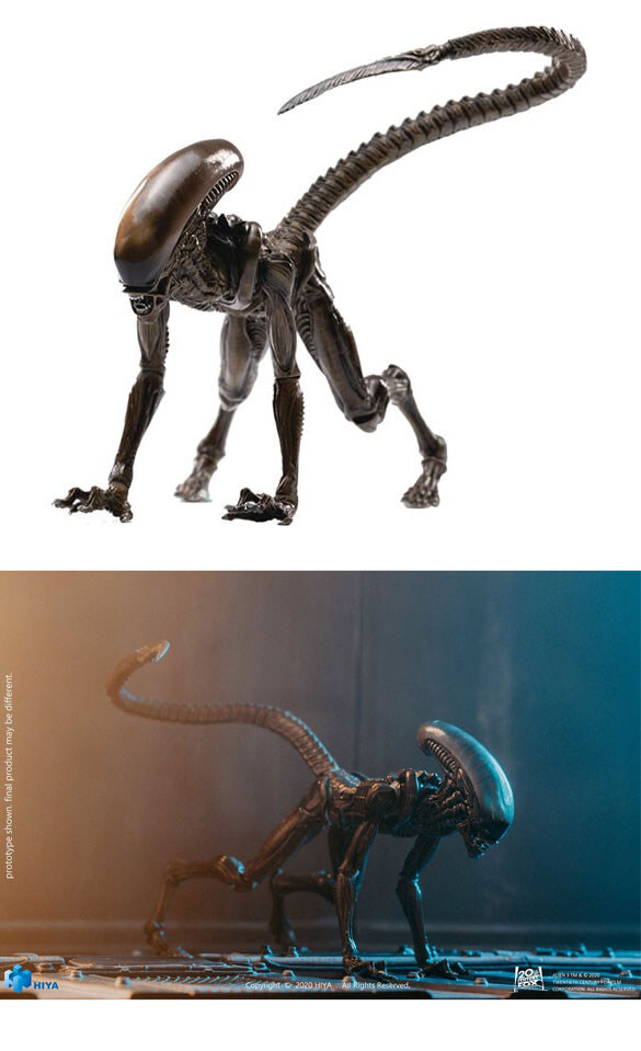 에일리언) 에일리언 시리즈는 번식 방식이 변화가 많이 됨_5.jpg