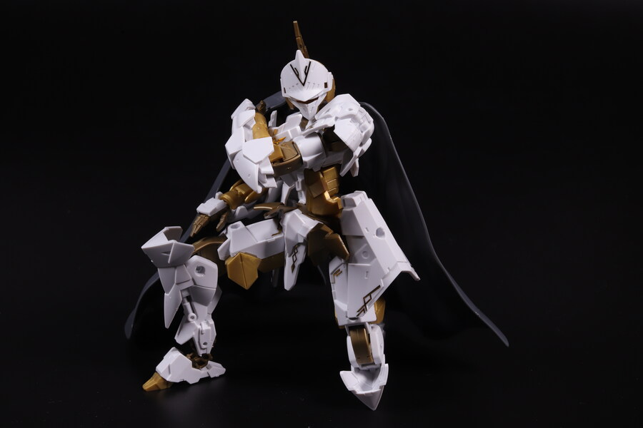 30MM] 스피나티오 로열 나이트 타입_30.jpg