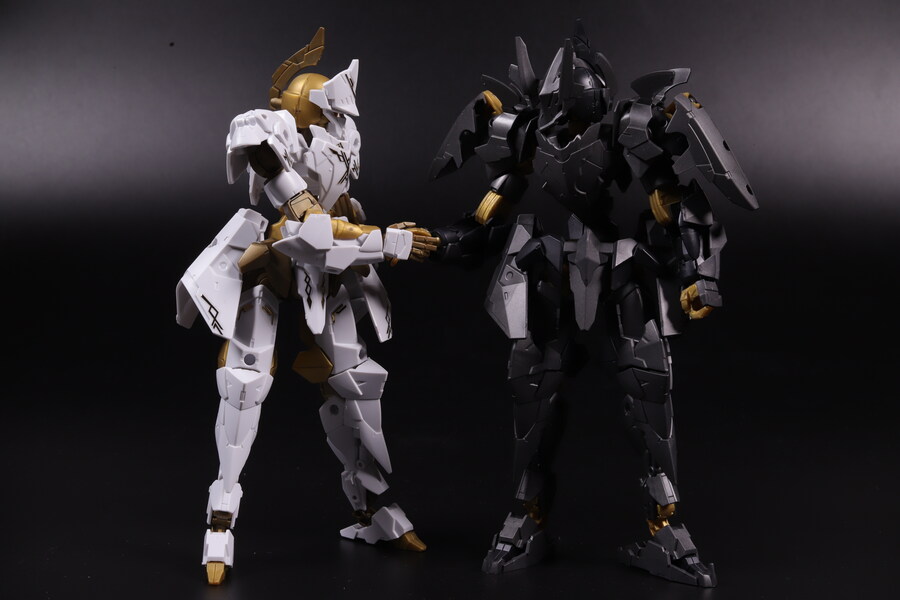 30MM] 스피나티오 로열 나이트 타입_35.jpg