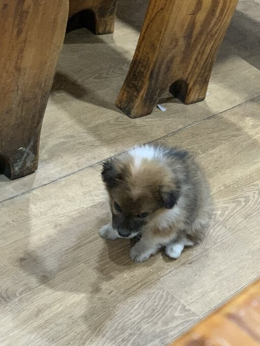 식당에서 밥먹는데 유독 소화가 안되는 이유_4.jpg