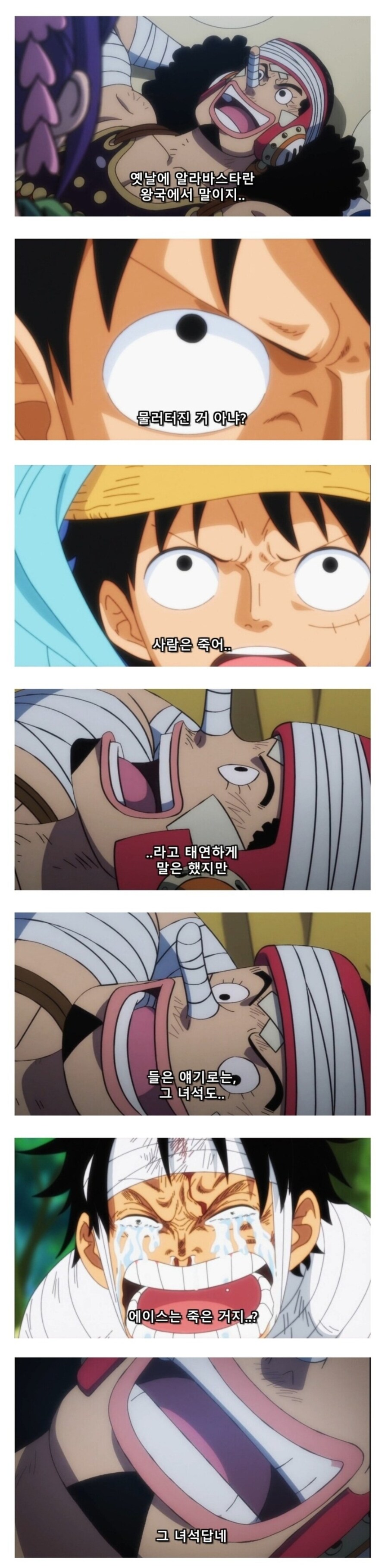 원피스 우솝 근황_1.jpg