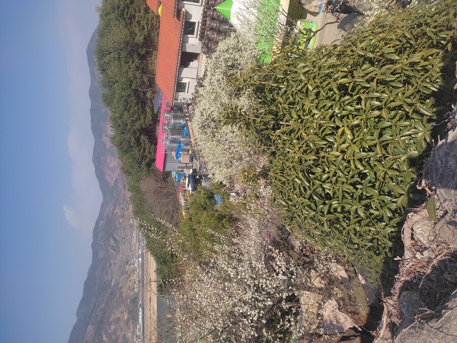 광양 여행_82.jpg
