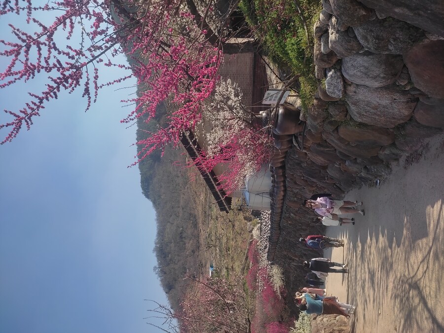 광양 여행_85.jpg