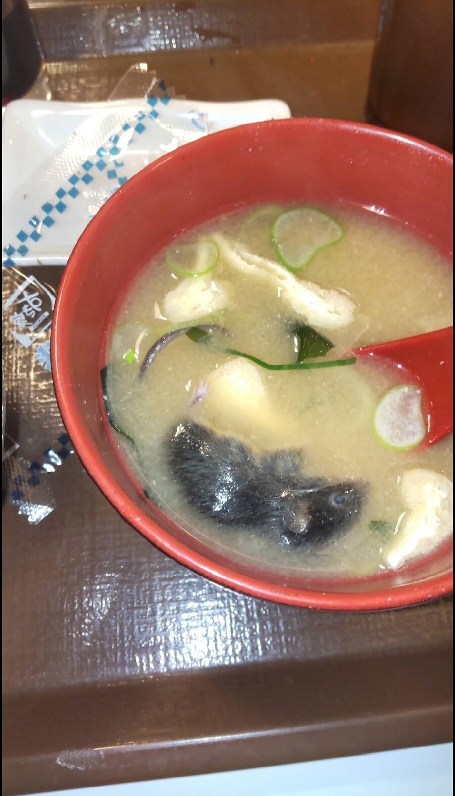 극혐) 난리난 일본 프랜차이즈 업체_2.jpg