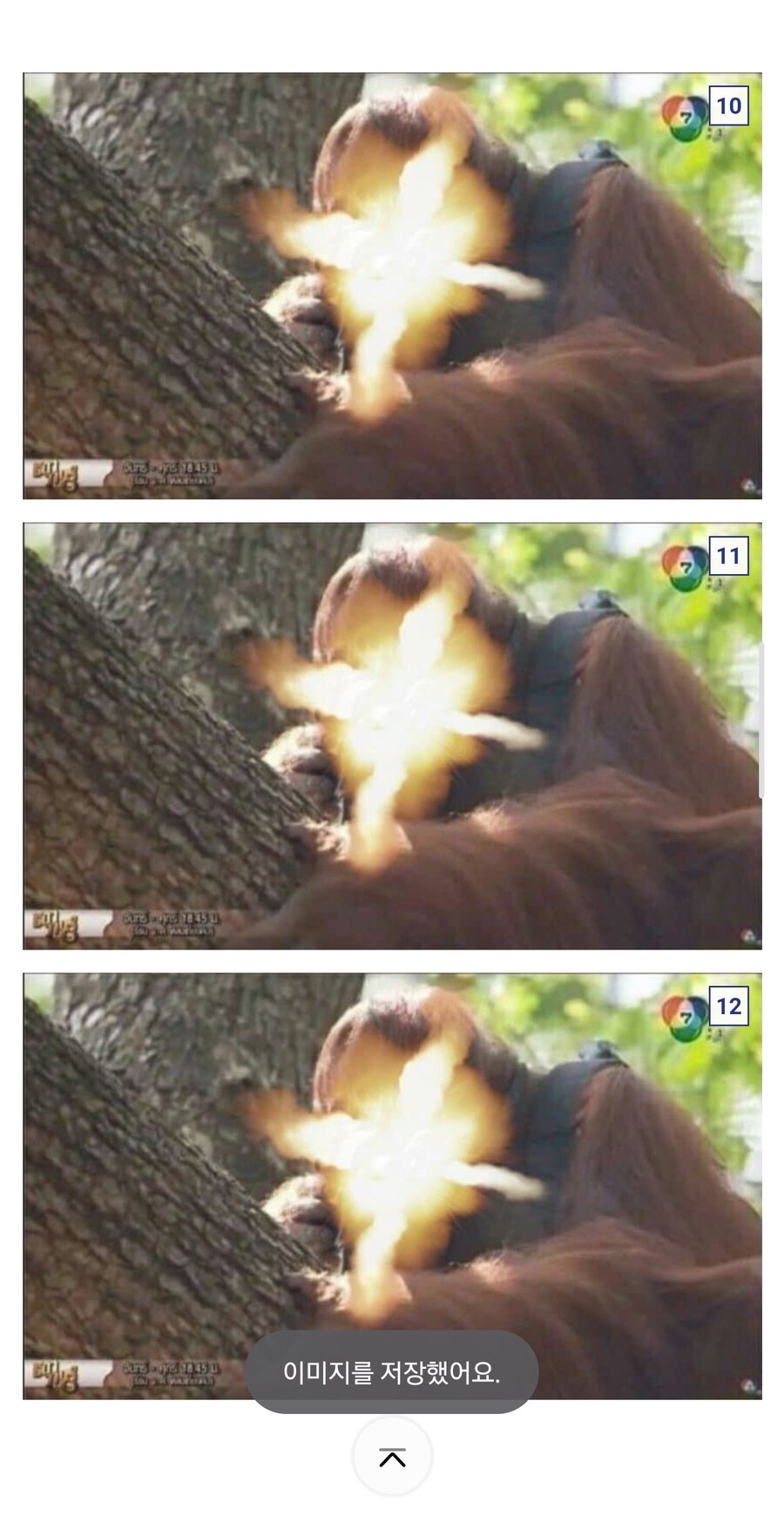 정지. 정지. 움직이면 쏜다_4.jpg