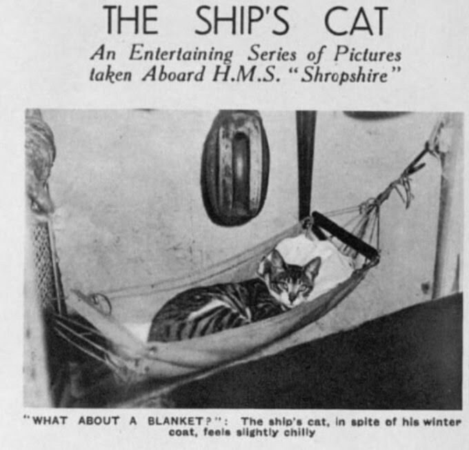 그래도 예전보다는 나아진 해군 침대_7.jpg