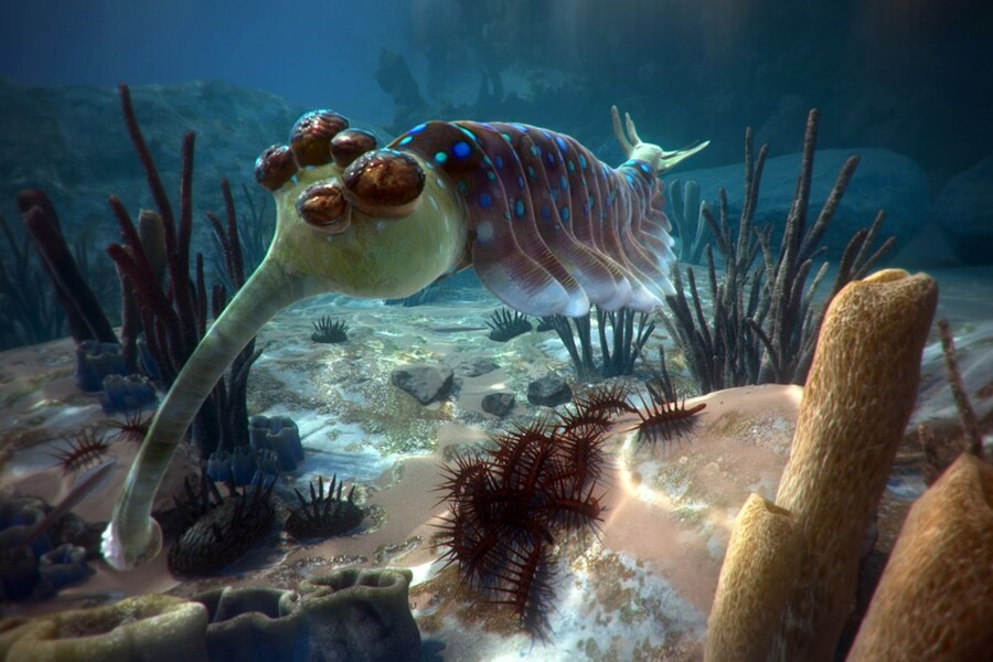 자기 외모가 지금 시대에 안맞아도 고민하지 말 것_2.jpg