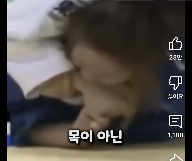 일본에서 퍼지고 있는 한국 유도 선수의 반칙 ㄷㄷ_5.jpg