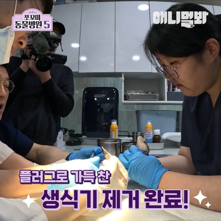 거시기에 플러그가 박혀 내원한 환자_10.jpg