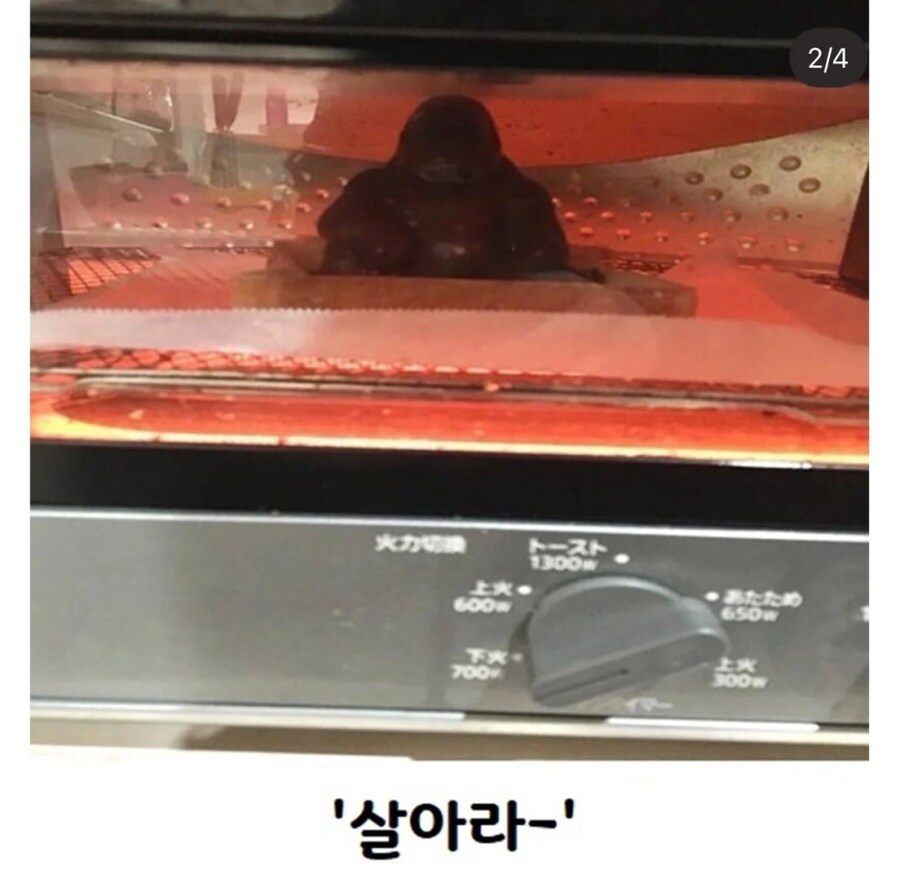 녀석은 마지막 순간까지 웃고 있었어_2.jpg
