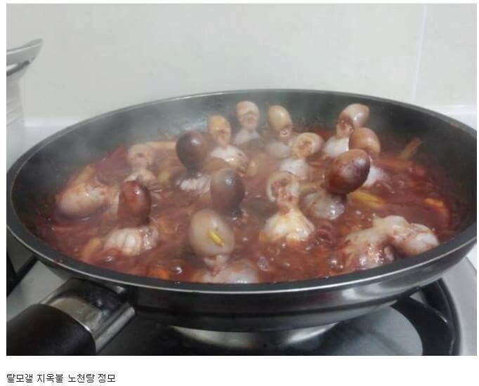 탈모인이 진짜 긁힌 탈모갤 영구차단 짤_1.jpg