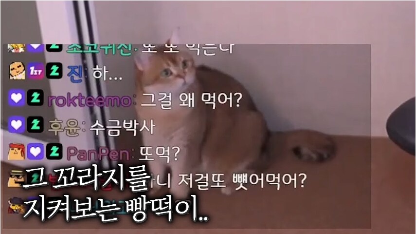 인간을 그만둔 유튜버_2.png