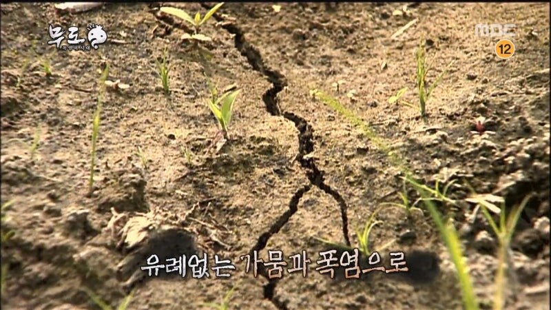 더위에 미쳐서 양반집을 털러가는 민초들_2.jpg