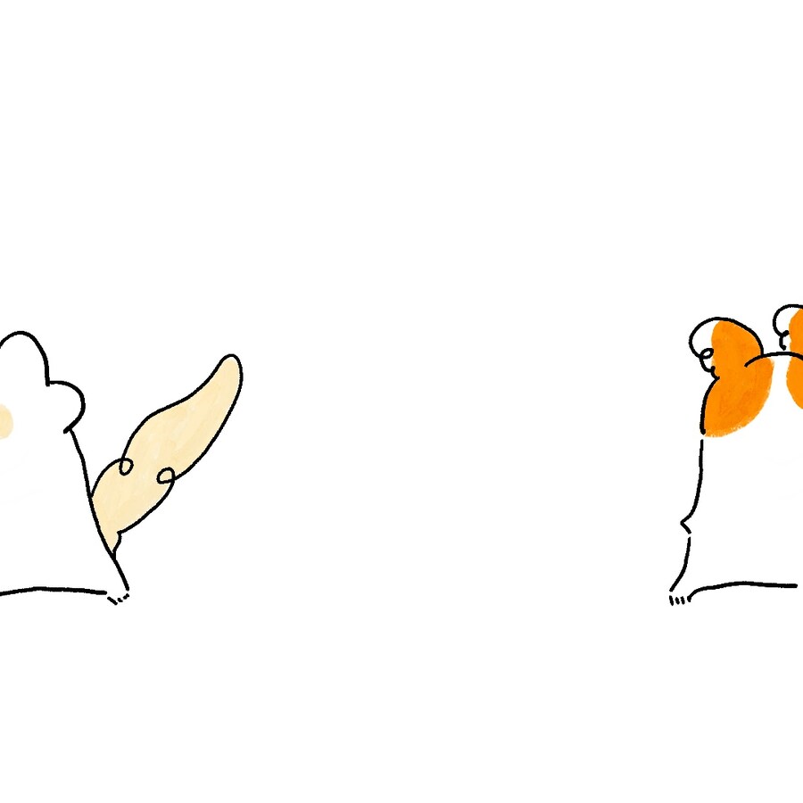 [냥뇽툰] 부부가 시작되어버린 만화.manhwa_5.jpg