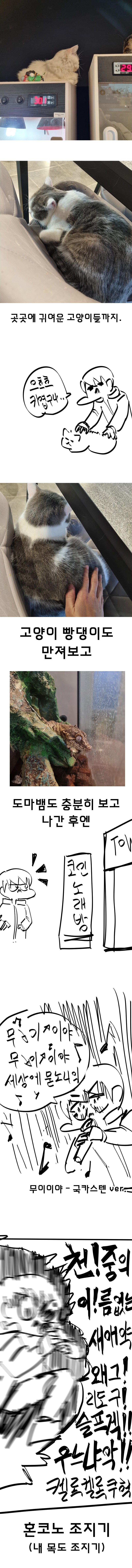 속초강릉 여행간 만화 (完) .manhwa_8.png