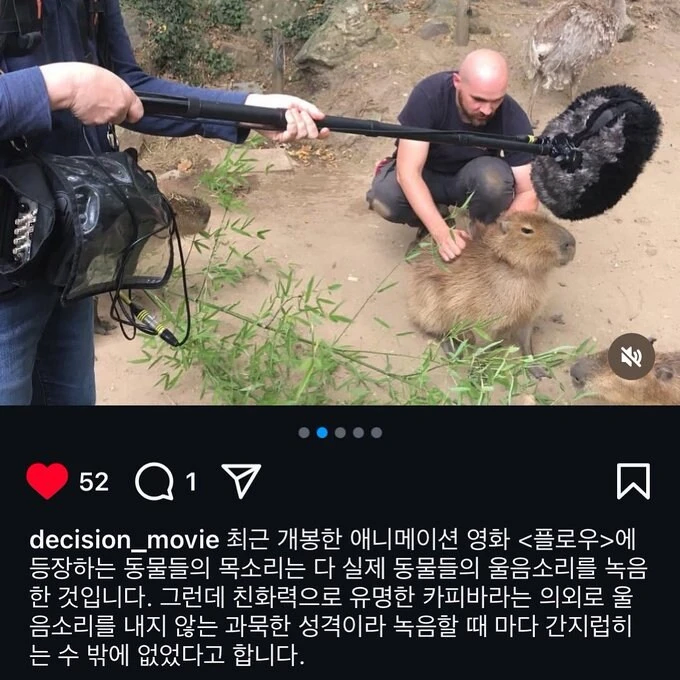 영화에 사용하기 위해 카피바라 울음소리 녹음하는 방법.jpg_1.webp