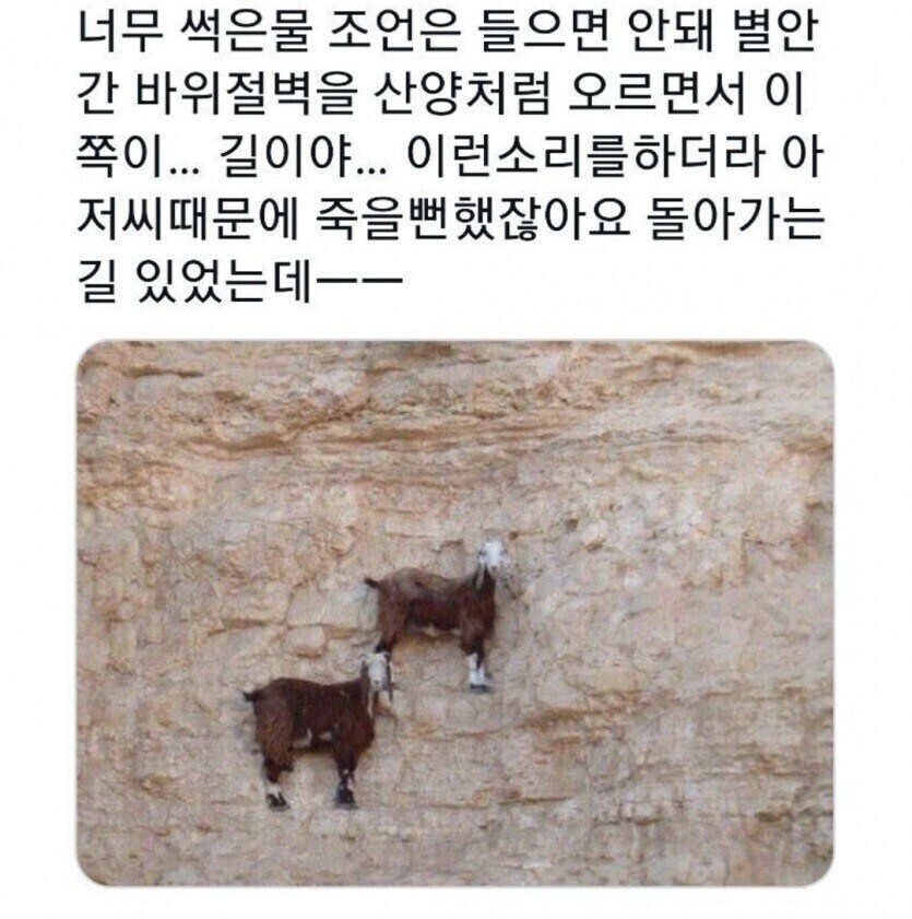 뉴비에게 친절한 등산 고인물들.jpg_3.jpg