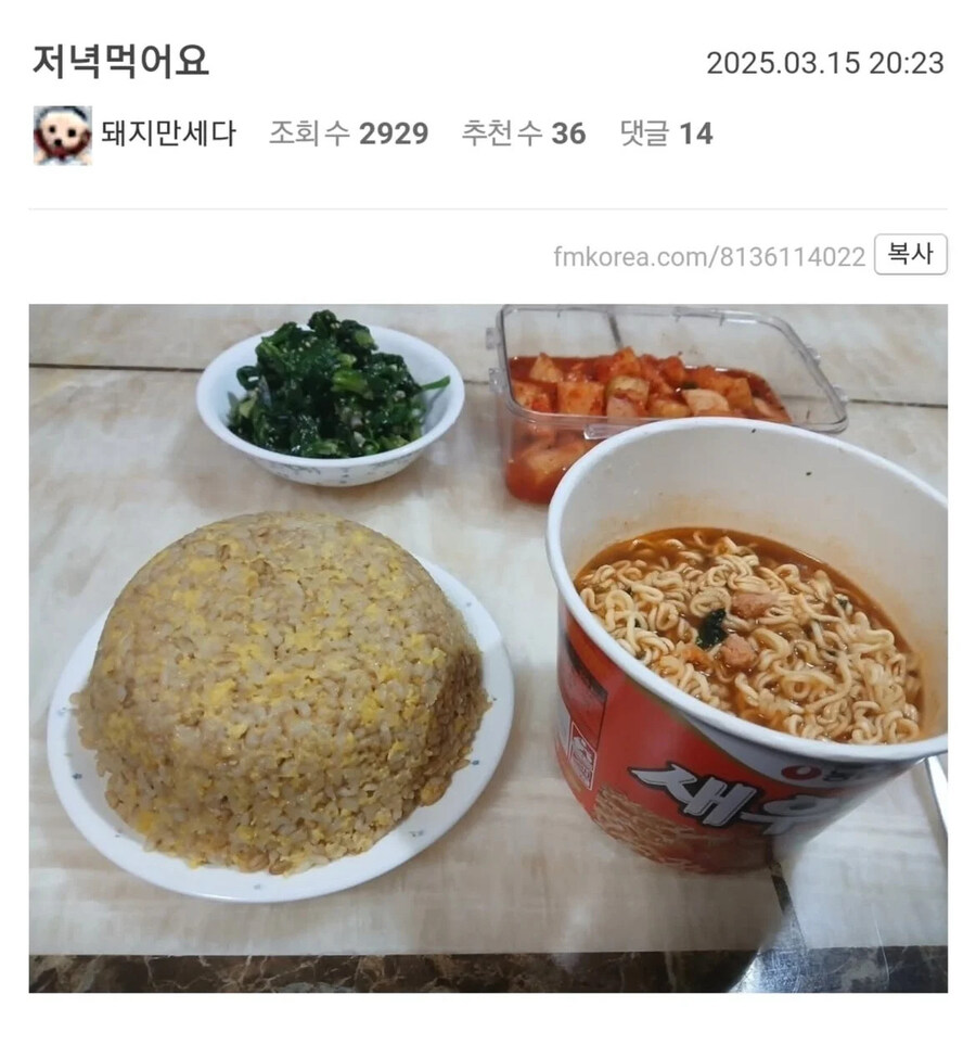 밥 인증하는 펨코인_3.jpg