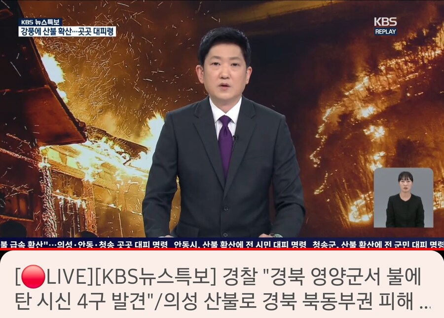 이렇게 산불 났는데 KBS는 뭐하냐 재난방송 안트냐?_1.png