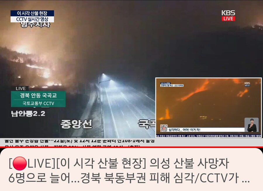 이렇게 산불 났는데 KBS는 뭐하냐 재난방송 안트냐?_4.png