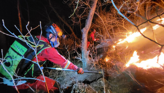 산림청 산불진화대 월급.jpg_3.jpg