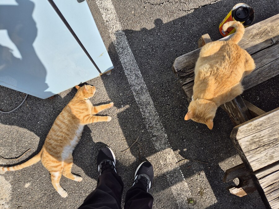 요양병원 짬타이거_4.jpg