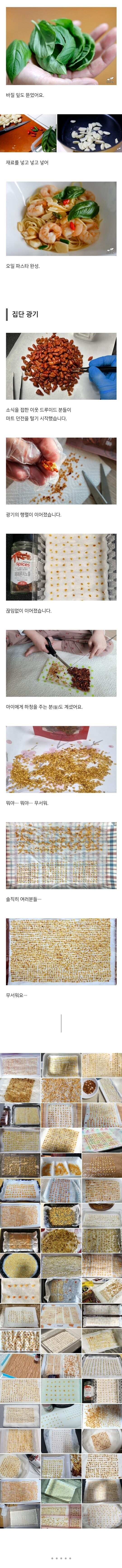 서양 고추 종자를 국내에 밀반입 하는 방법_5.jpg