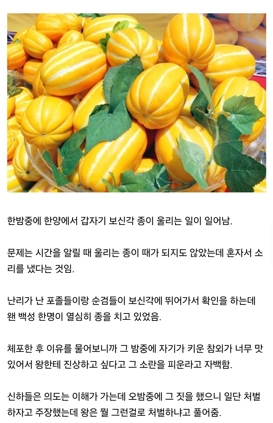 참을수 없었던 참외밭 주인.jpg_1.jpg