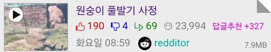 옆동네에서 받아온 원숭이 풀발기 사정 짤.gif_1.jpg