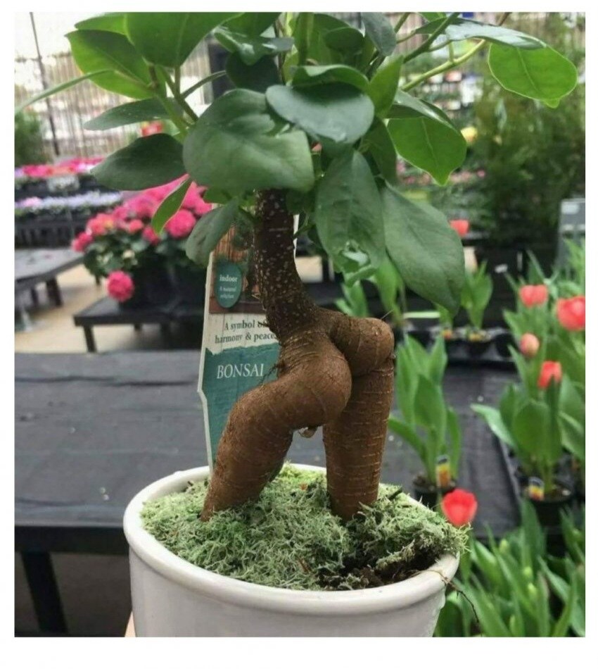 어이어이 장작탭이 따로 있다니 미친 거냐고 아앙?_1.jpg