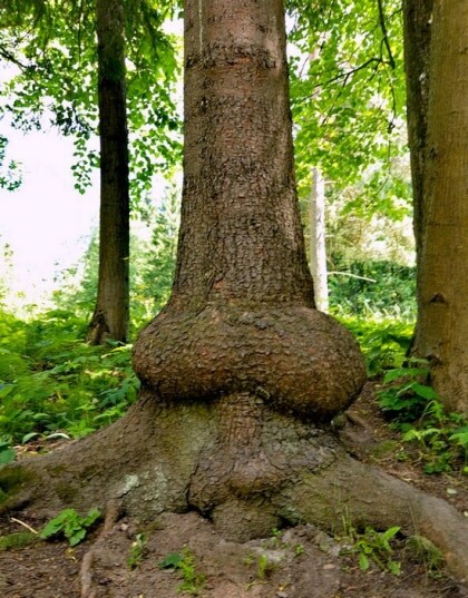 어이어이 장작탭이 따로 있다니 미친 거냐고 아앙?_8.jpg