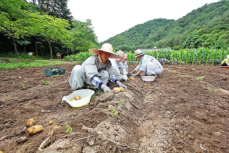 스님이 하는 일은?_1.jpg