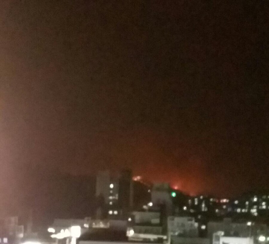 휴 살아남았다 (울주 산불 근황)_1.jpg