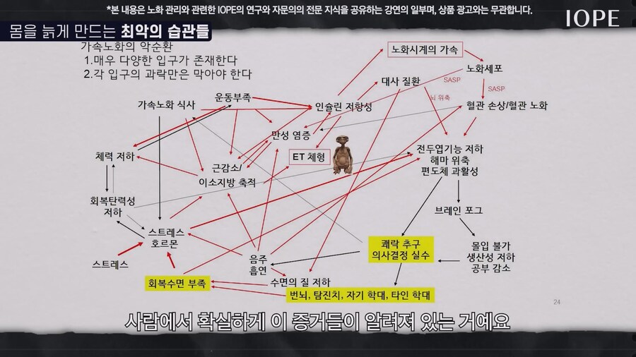 쇼닥터 아니라는 저속노화 교수 강의를 찾아봤다_44.jpg