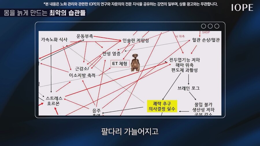쇼닥터 아니라는 저속노화 교수 강의를 찾아봤다_60.jpg