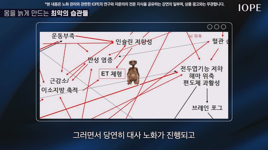 쇼닥터 아니라는 저속노화 교수 강의를 찾아봤다_62.jpg