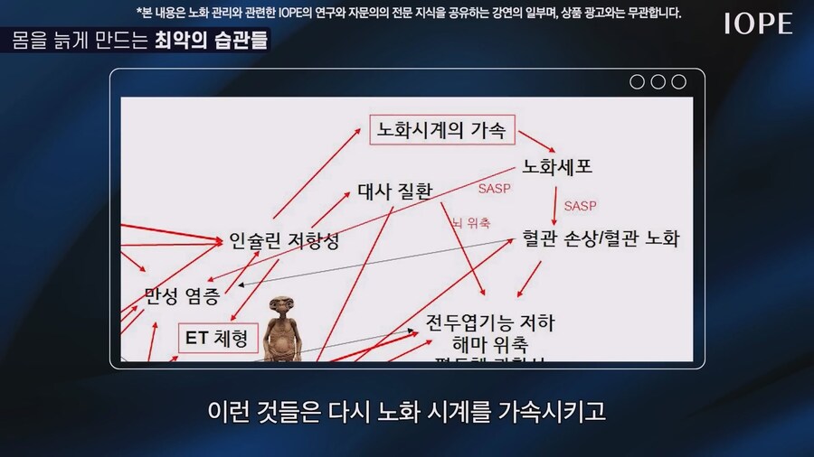 쇼닥터 아니라는 저속노화 교수 강의를 찾아봤다_68.jpg