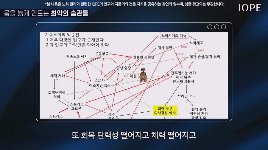 쇼닥터 아니라는 저속노화 교수 강의를 찾아봤다_76.jpg