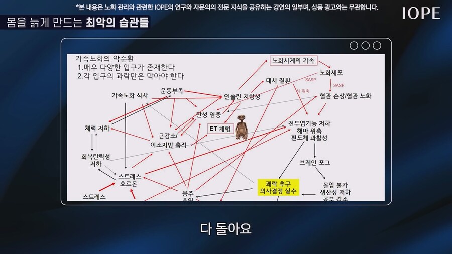 쇼닥터 아니라는 저속노화 교수 강의를 찾아봤다_77.jpg