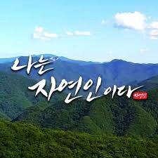 전국 산불로 인해 걱정되는 또다른 분들_1.jpg