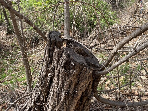 직원에 빡친 골프장 vs 더 빡친 직원의 법정다툼 결과_5.jpg