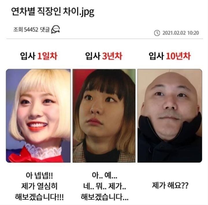 연차별 직장인 차이_1.jpg